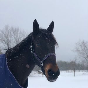 Meet your Posher, Georgia